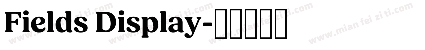 Fields Display字体转换